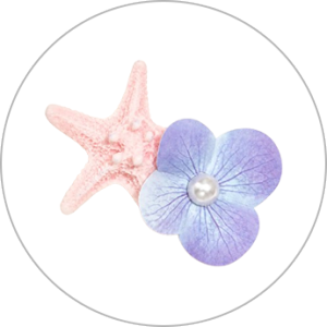 Accessoires pour cheveux d'été