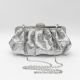 couleur argent Image2