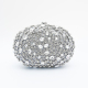 couleur argent Image2