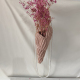 Rose Image3