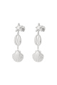 couleur argent Image2