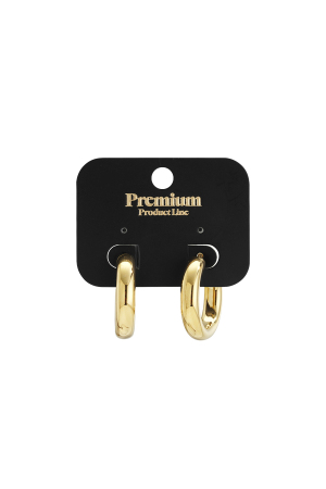 Boucles D'oreilles Basic Épaisses Petites - Dorées h5 Image5
