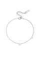 couleur argent Image2