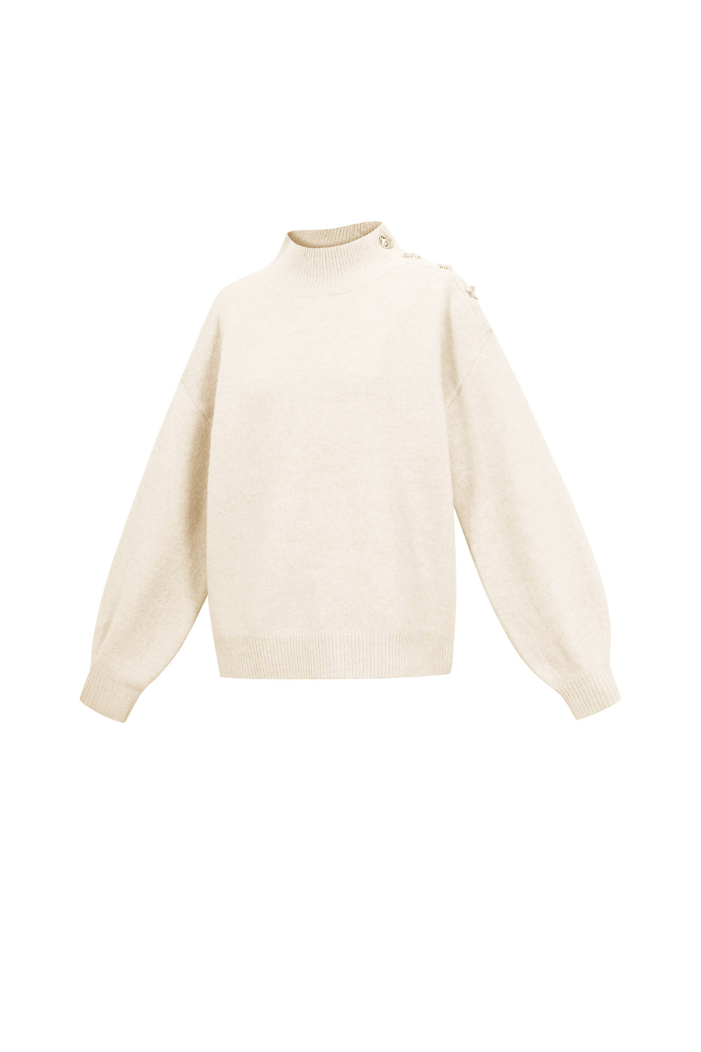 Pull Col Roulé Femme En Fibre De Polyester Tricotée Style Décontracté Couleur Unie h5Image2