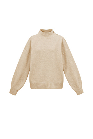 Pull Col Roulé Femme En Fibre De Polyester Tricotée Style Décontracté Couleur Unie h5 Image12
