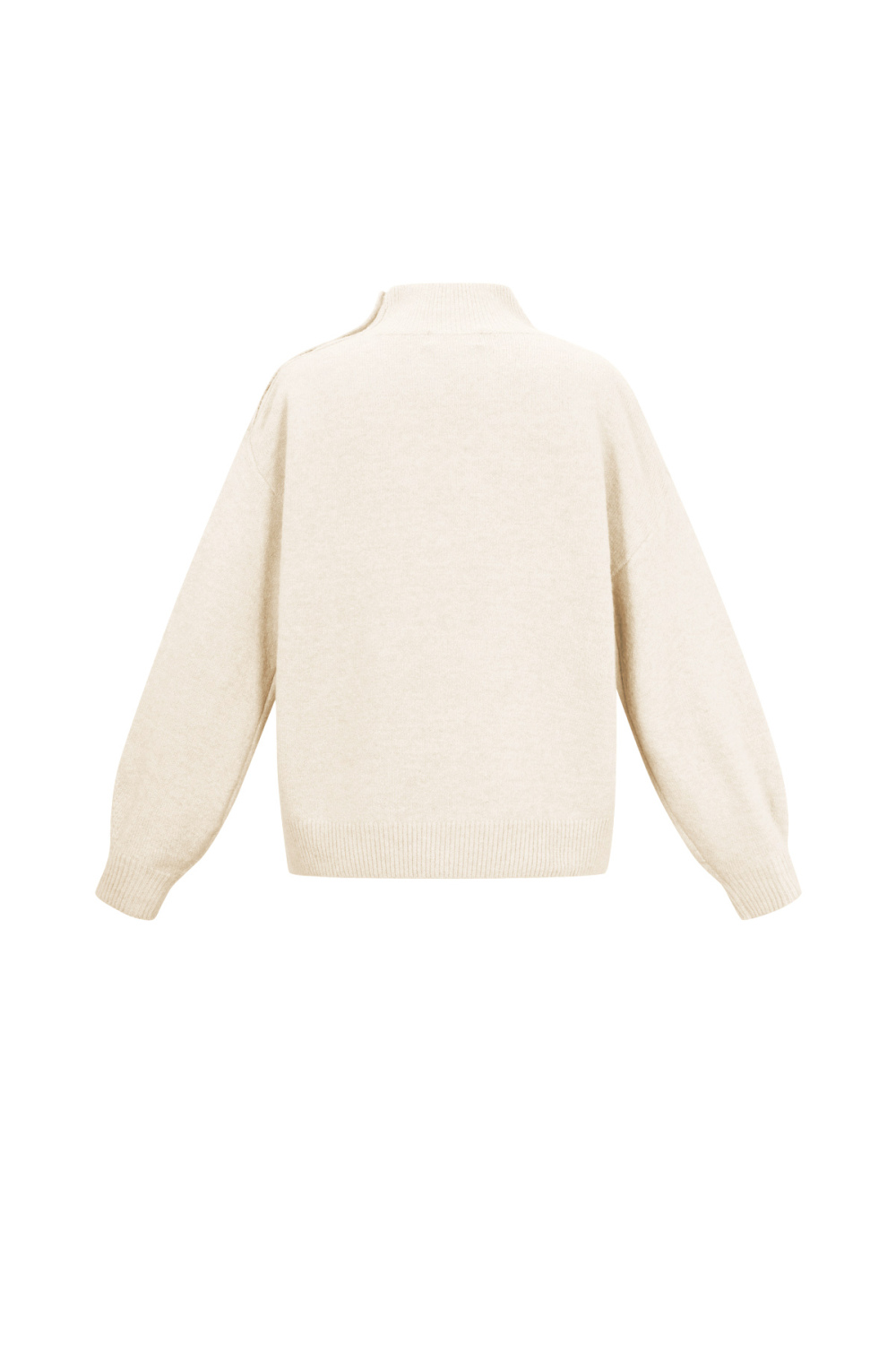 Pull Col Roulé Femme En Fibre De Polyester Tricotée Style Décontracté Couleur Unie h5Image3