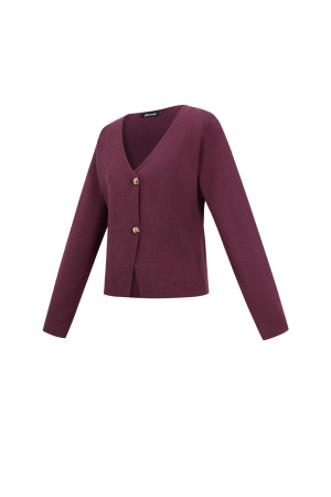 Viscose Tricotée Cardigan Femme Casual Couleur Unie Automne/Hiver h5 Image2