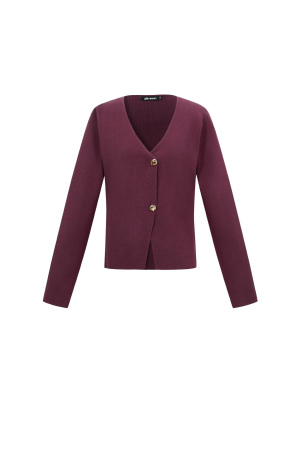 Viscose Tricotée Cardigan Femme Casual Couleur Unie Automne/Hiver h5