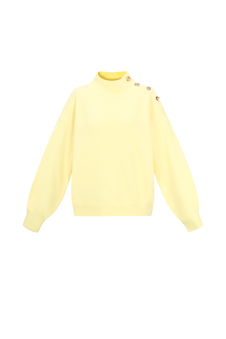 Pull Col Roulé Femme en Fibre de Polyester Tricotée Style Décontracté Couleur Unie 2