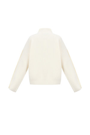 Pull Col Roulé Femme En Polyester Tissé Casual Couleur Unie h5 Image3