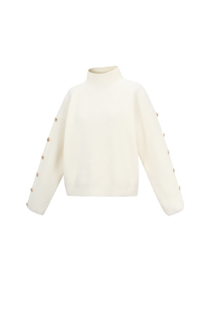 Pull Col Roulé Femme En Polyester Tissé Casual Couleur Unie h5 Image2