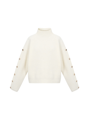 Pull Col Roulé Femme En Polyester Tissé Casual Couleur Unie h5 