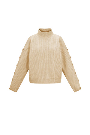 Pull Col Roulé Femme En Polyester Tissé Casual Couleur Unie h5 Image11