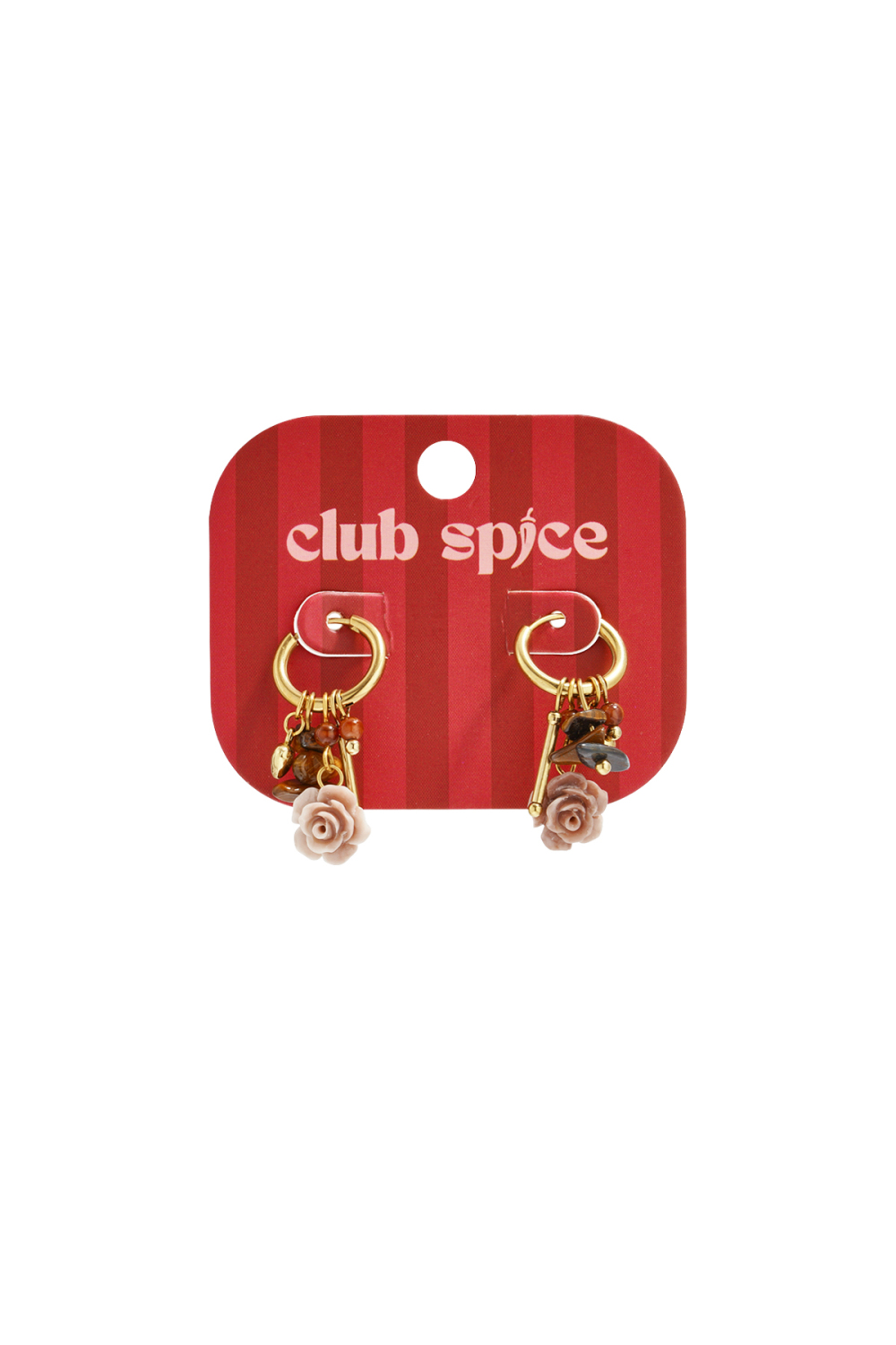 Boucles D'Oreilles Pendantes En Acier Inoxydable, Style Décontracté Et Simple, Série Fleur, Bijoux Pour Femmes Image5