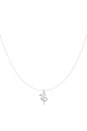 couleur argent Image2