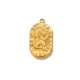 Lion Image6