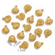Coquille d'or Image20