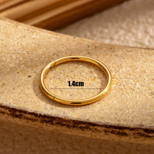 Boucles D'Oreilles Piercing Pour Femme, 1 Pièce, Série Simple, Géométriques, En Acier Titane Sans Placage h5