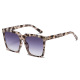 Écaille de tortue blanche double pièce grise C14/8 Image8