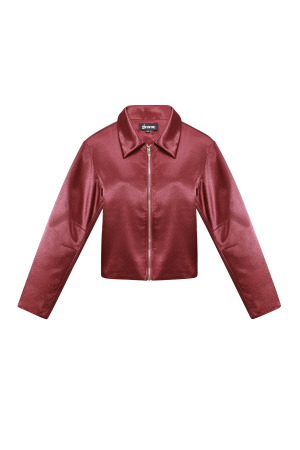 Tissu Polyester Fibre Veste Femme Casual Automne/Hiver Couleur Unie h5 Image10