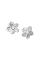 couleur argent Image2
