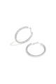 couleur argent Image2