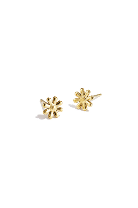 Boucles d'oreilles brillantes en acier inoxydable Diasy