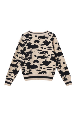 Tricot (Y Compris Crochet Et Tissus En Laine) Pull À Col En V Imprimé Léopard Pour Femme Automne/Hiver Décontracté h5 Image2