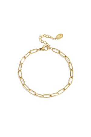 Bracelet Basique À Maillons En Acier Inoxydable h5 