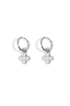 couleur argent Image2