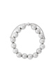 couleur argent Image2
