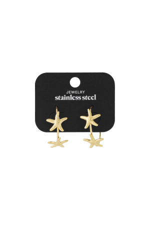 Boucles D'Oreilles Créoles Étoiles h5 Image4