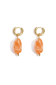 Orange Image6