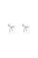 couleur argent Image2