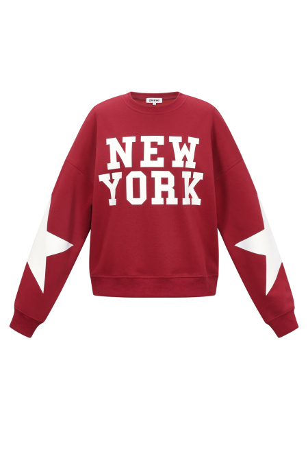 Pull New York avec étoile 2