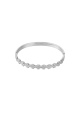 couleur argent Image2