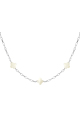 couleur argent Image2