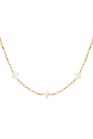 Collier Trèfles Coquillages - Acier Inoxydable Doré h5 