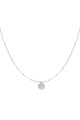 couleur argent Image2