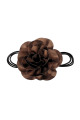 Brun Image5