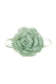 Vert Image2
