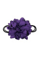 Violet Image2