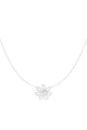 couleur argent Image2