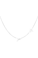 couleur argent Image2