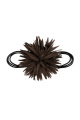 Brun Image3