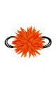 orange Image4