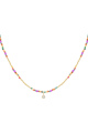 Multicolore Image2