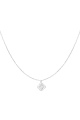 couleur argent Image2