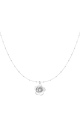 couleur argent Image2