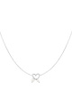 couleur argent Image2